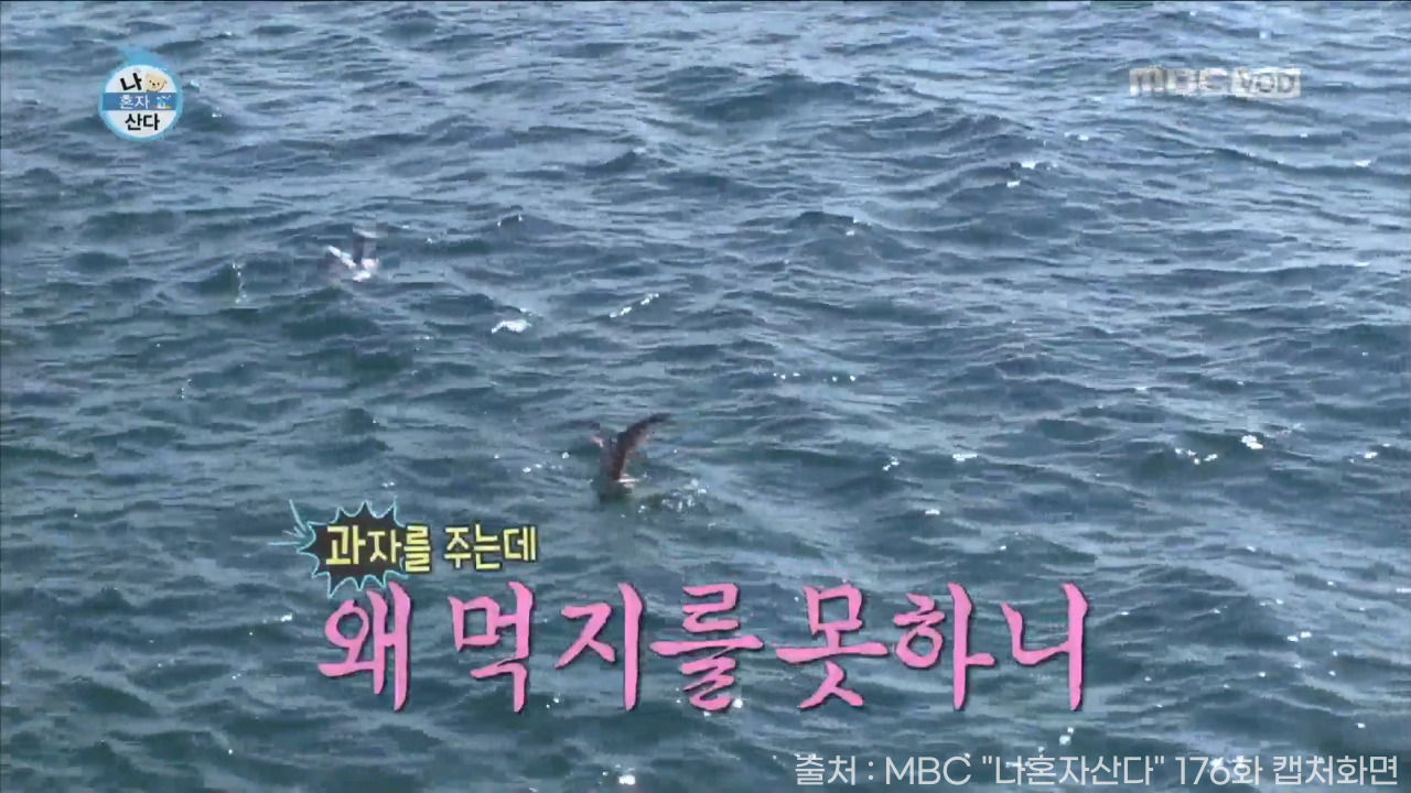 김연경 나혼자산다 터키 10