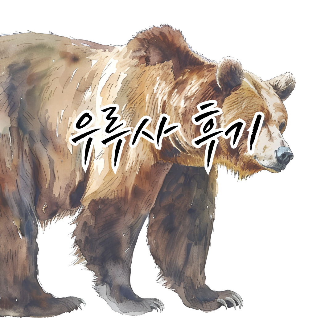 복합우루사 솔직 후기 🌙 야근 많은 직장인의 간 피로 회복 체감 포인트, 복용 전후 변화와 주의사항까지