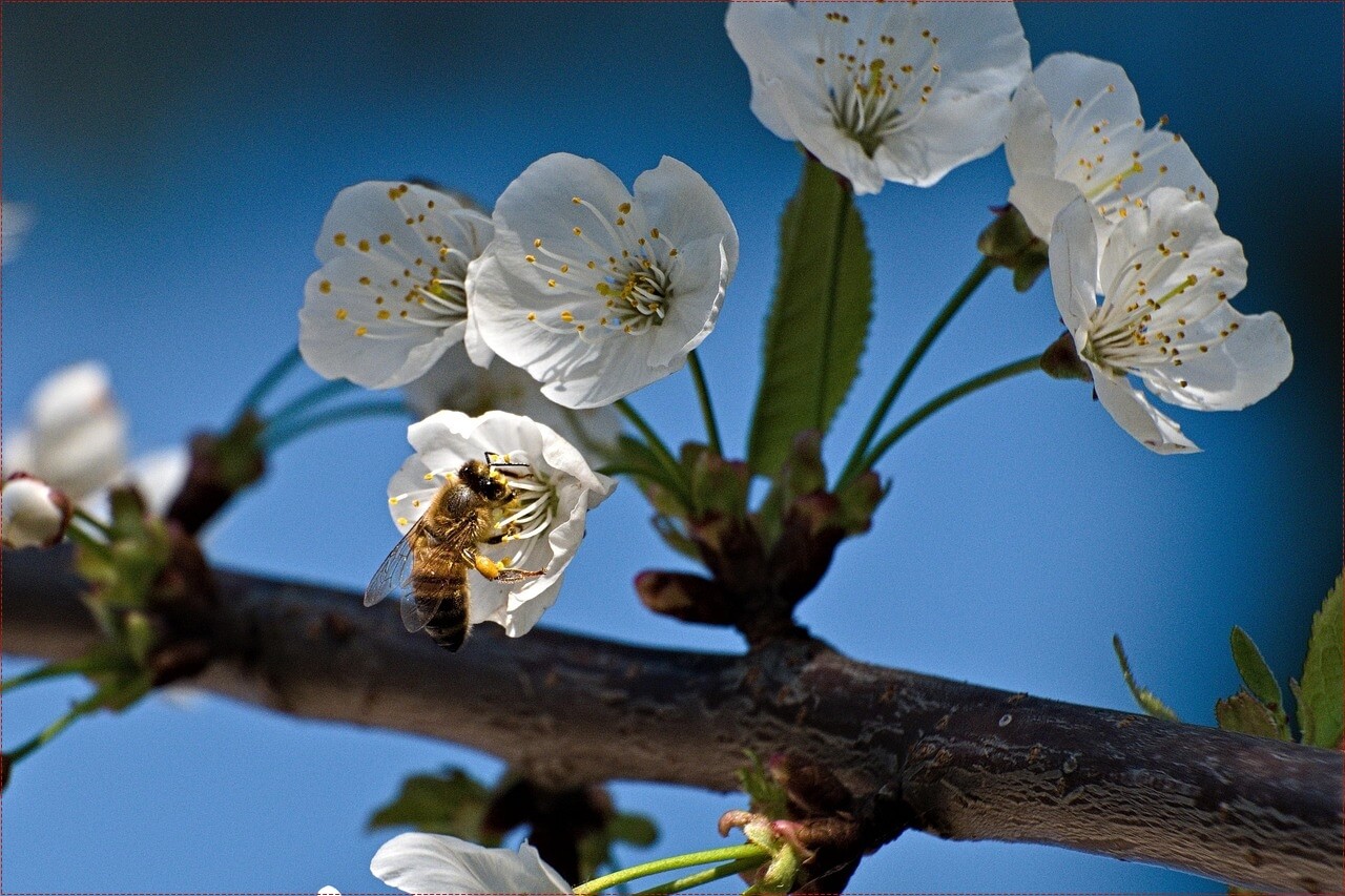 신한은행 예금금리