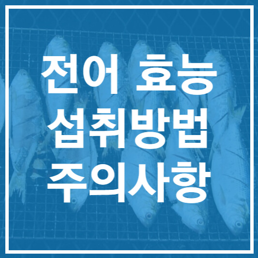 전어 효능#44; 섭취방법#44; 주의사항