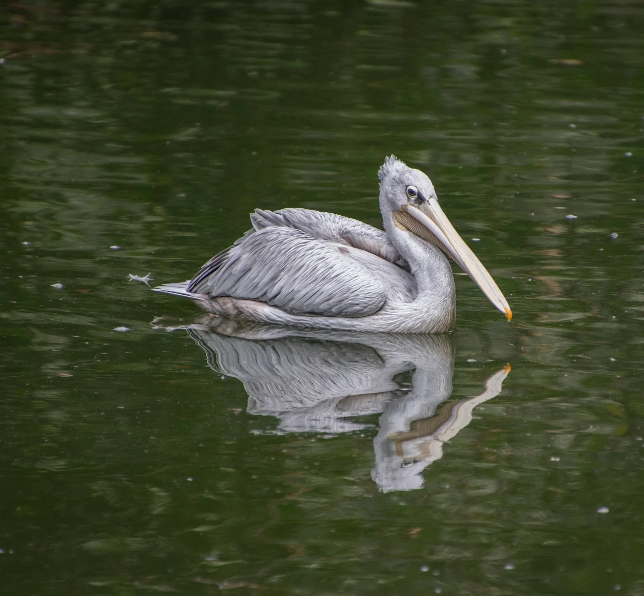 송파구 9시 이후 늦게까지 운영하는 맛집 Best4