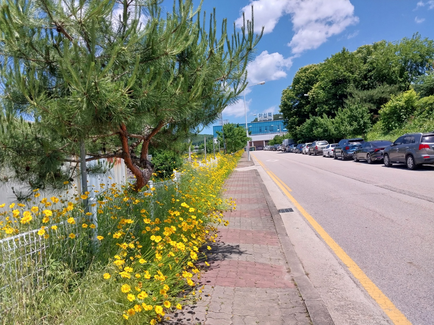 서울 근교 누구나 자전거와 걷기에 좋은 길