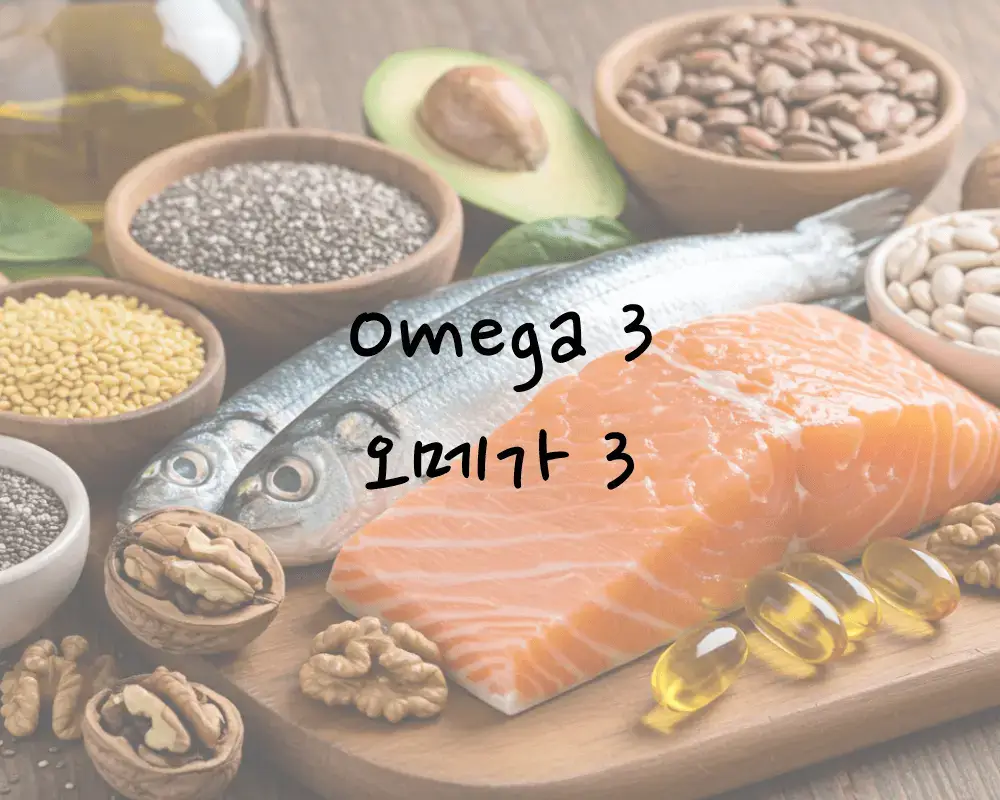 필수 지방산 오메가3