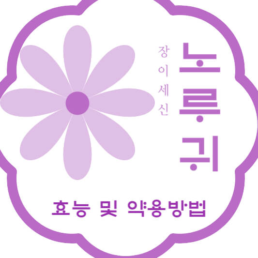 노루귀 효능 및 약용방법