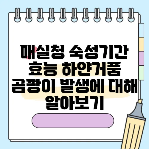 매실청 숙성기간 효능 하얀거품 곰팡이 발생에 대해 알아보기
