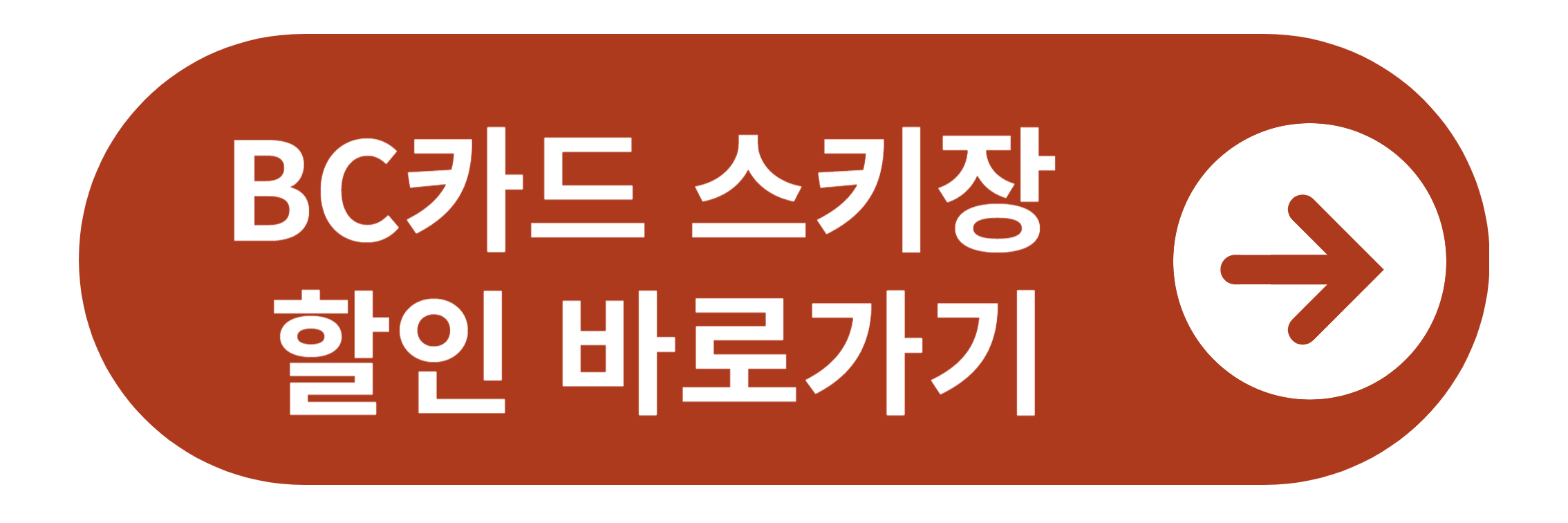 BC카드 스키장 할인 바로가기