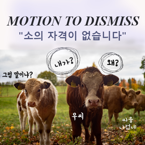 소의 자격