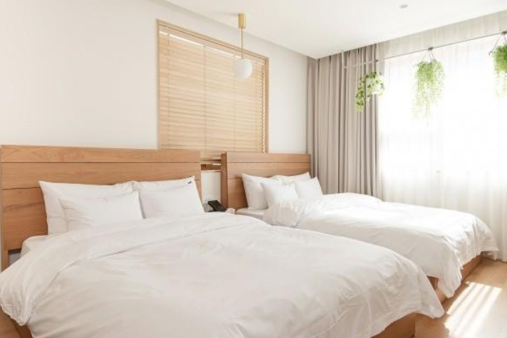 춘천 호텔 내돈내산