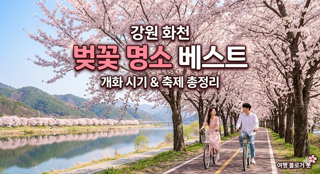 화천 벚꽃 명소