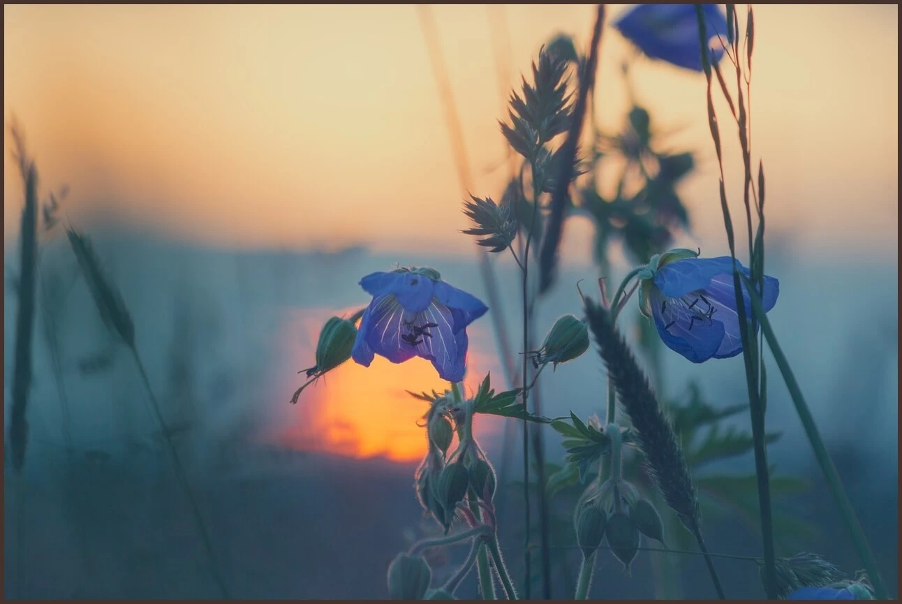 농협은행 정기예금 금리
