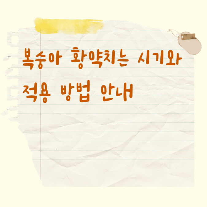 복숭아 황약치는 시기와 적용 방법 안내