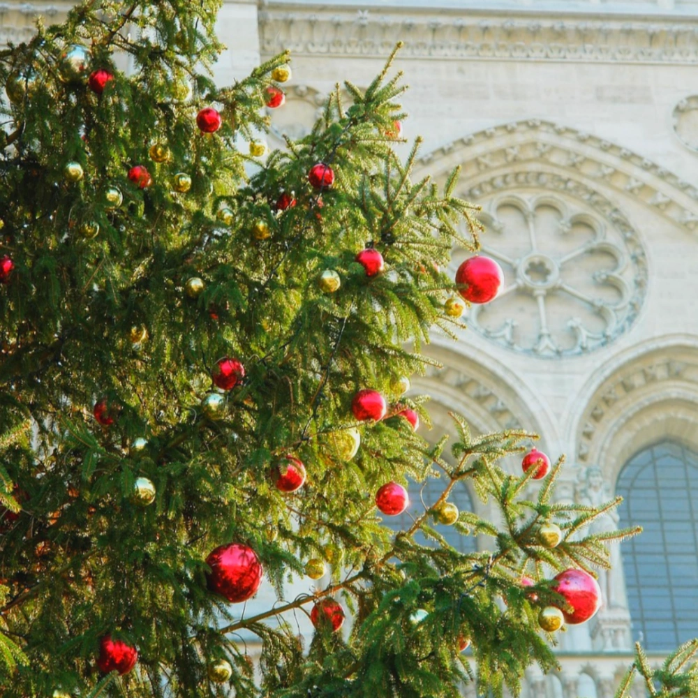 더현대-서울-크리스마스-예약-현장예약