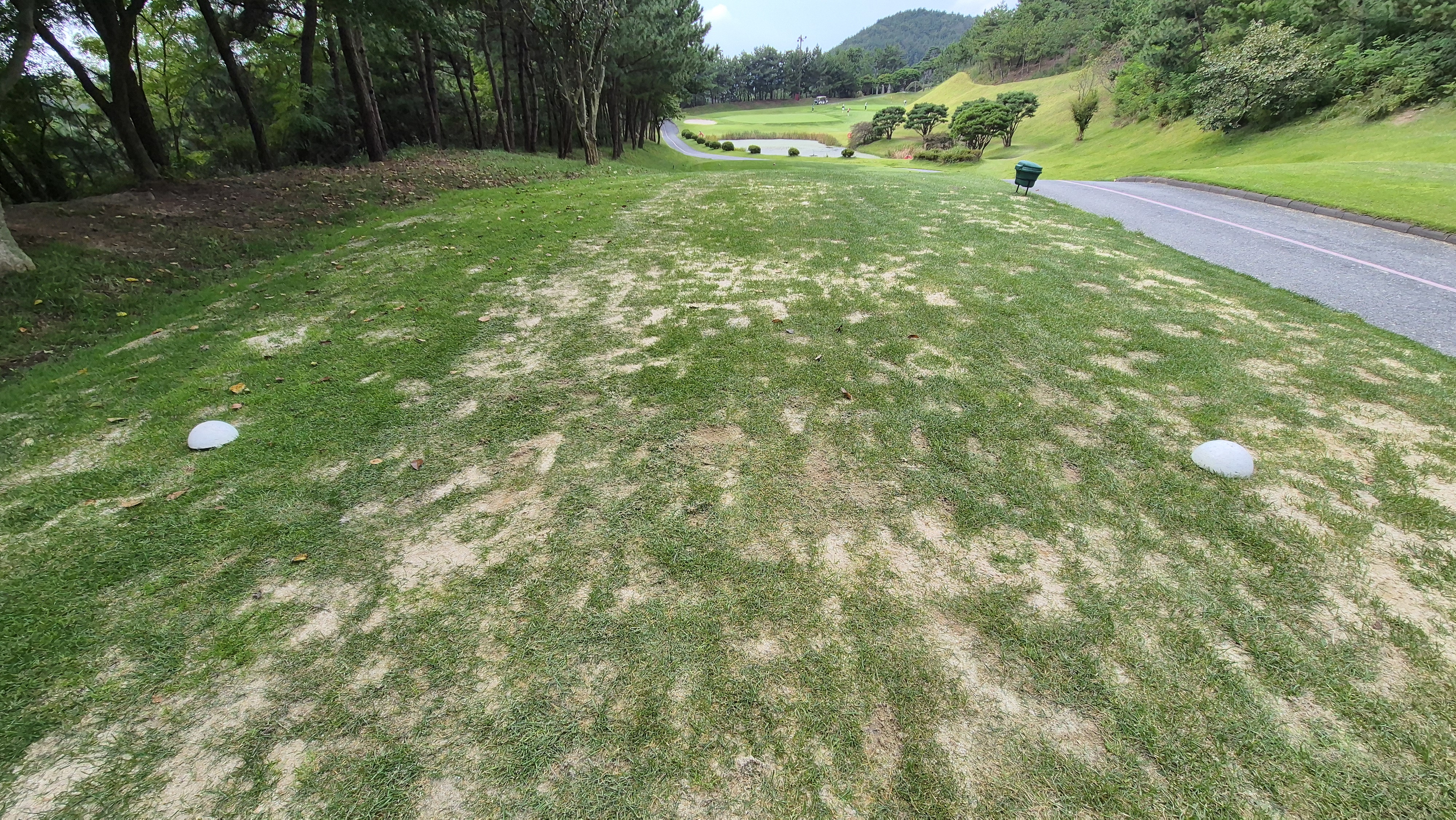 서산수cc 티잉구역 상태