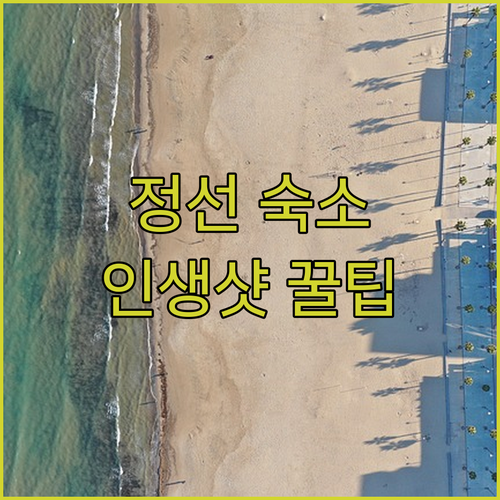 아이와 가기 좋은 정선 가족 숙소 및..