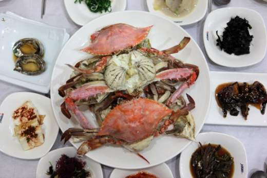 🦀 봄바다를 즐기는