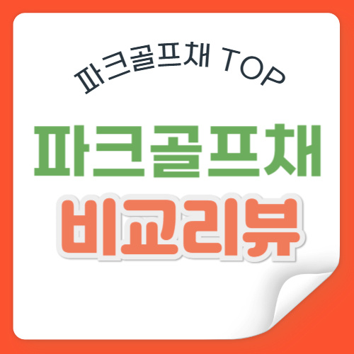 파크골프채 선물추천