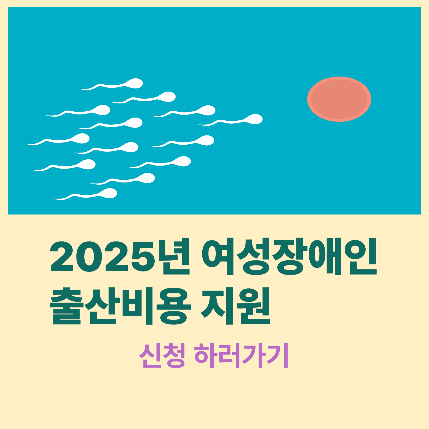 여성장애인 출산비용 지원