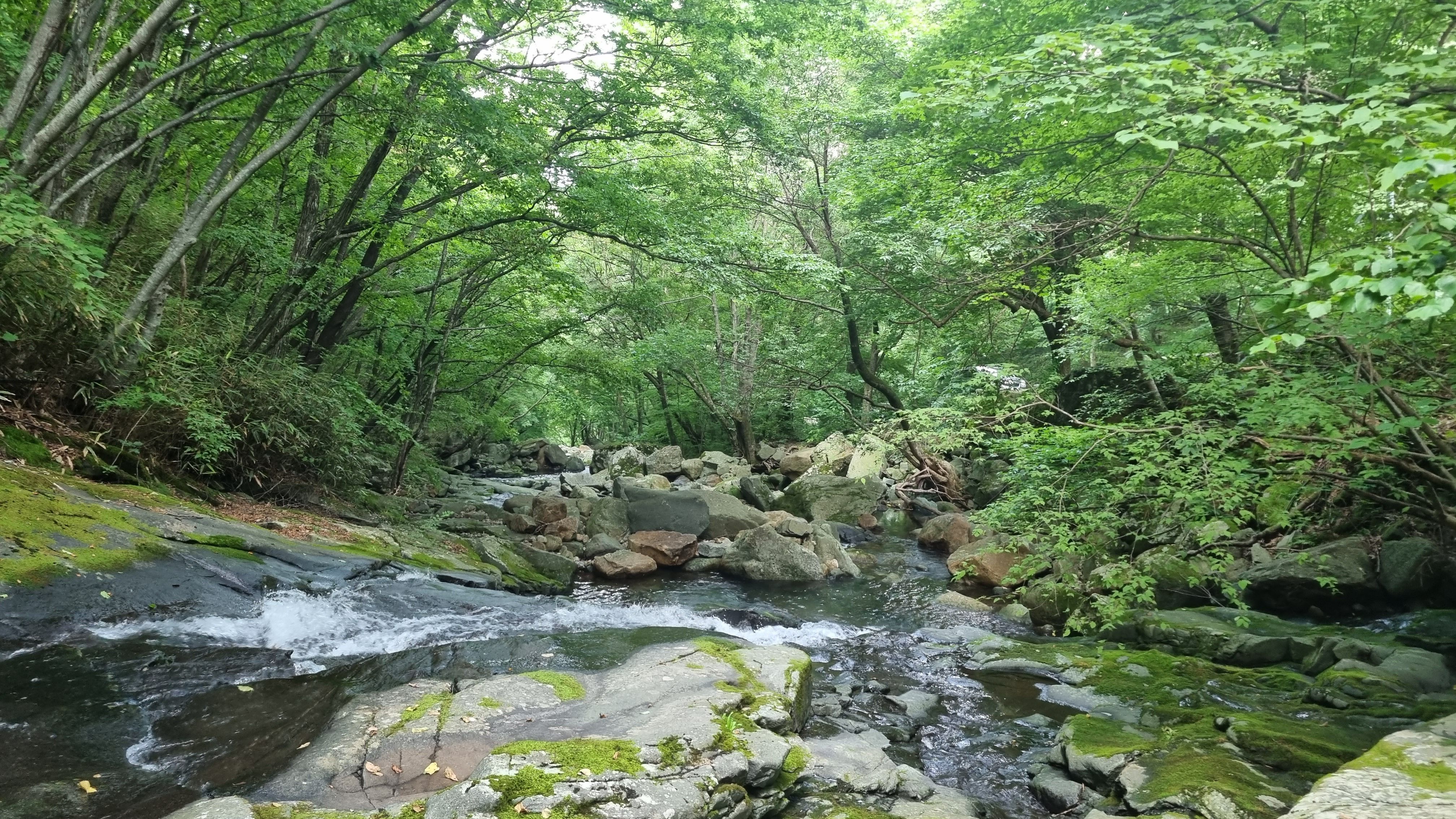 국립자연휴양림 추천