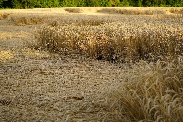 자연재해 재난 지원금 신청방법