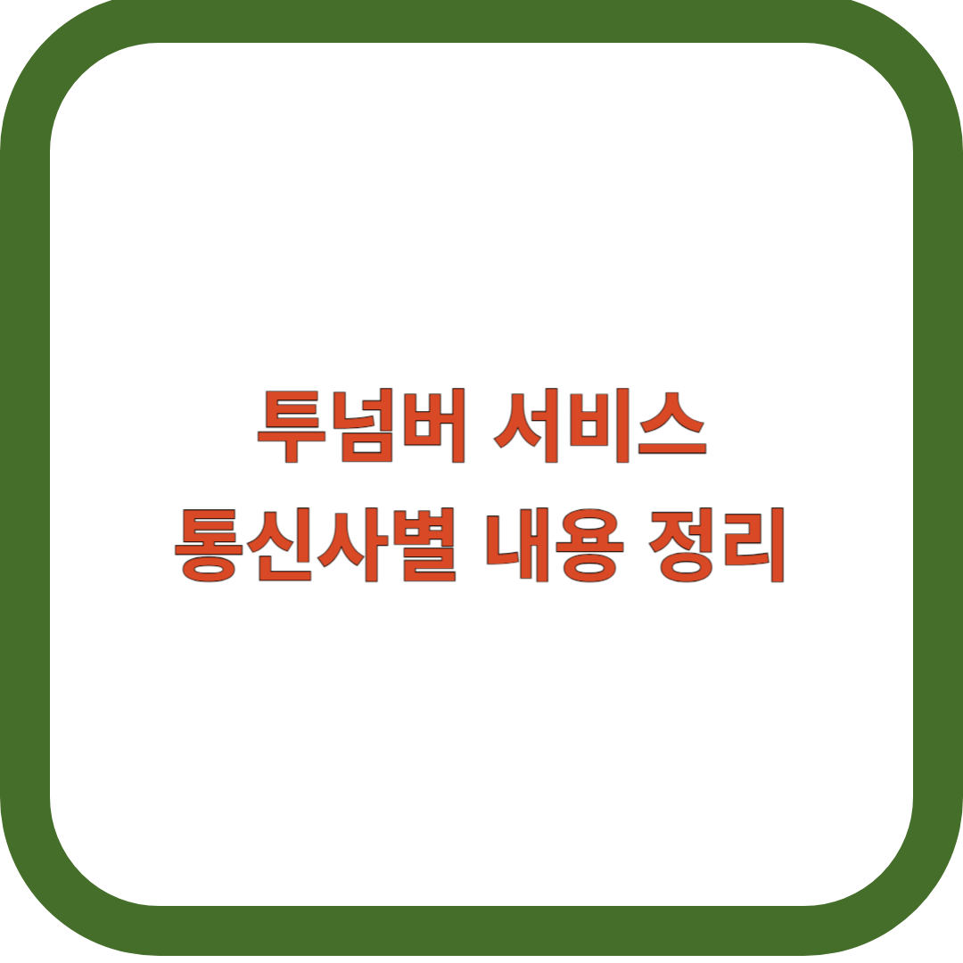 투넘버-서비스