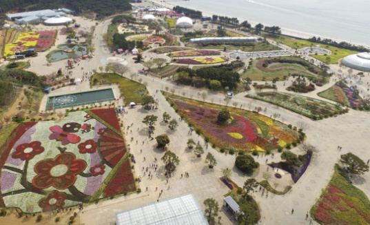 태안 코리아플라워파크 축제