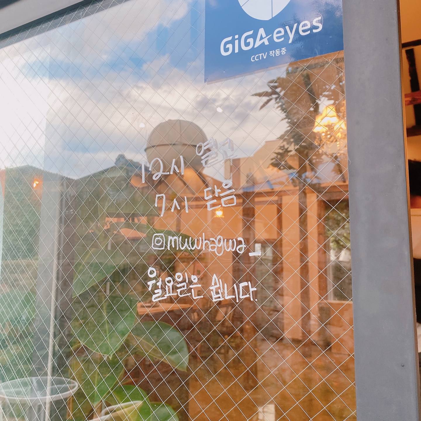 제주 동문시장 주택 구옥개조 북카페 무화과한입