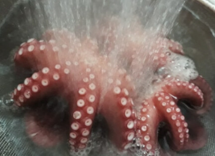 문어삶는법 제대로 알기