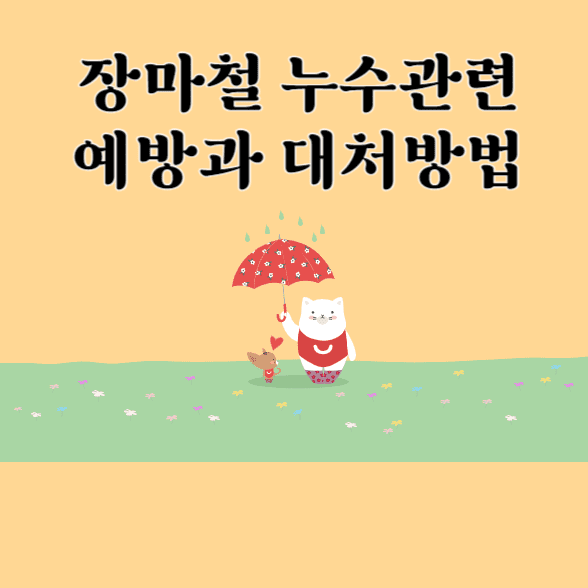 장마철 누수관련 예방방법