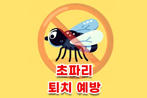 초파리 퇴치 예방