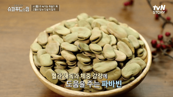 파바빈의 효능