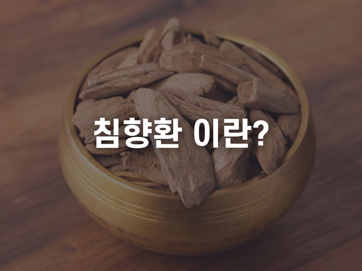 침향환 이란