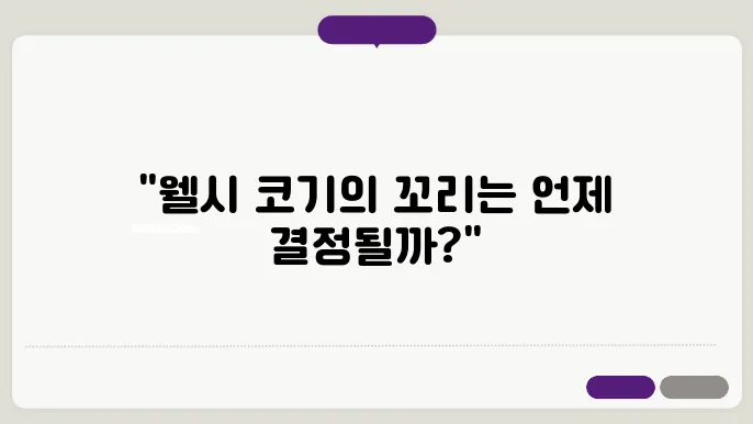 웰시 코기의 꼬리 단미 결정에 대한 이해 : 사려 깊은 선택