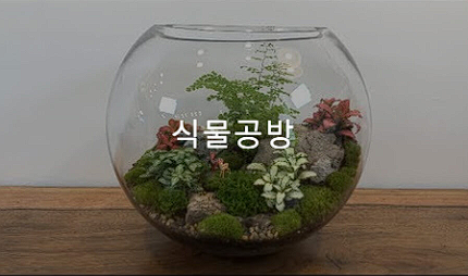 안산 식물원 매화, 카페 정보