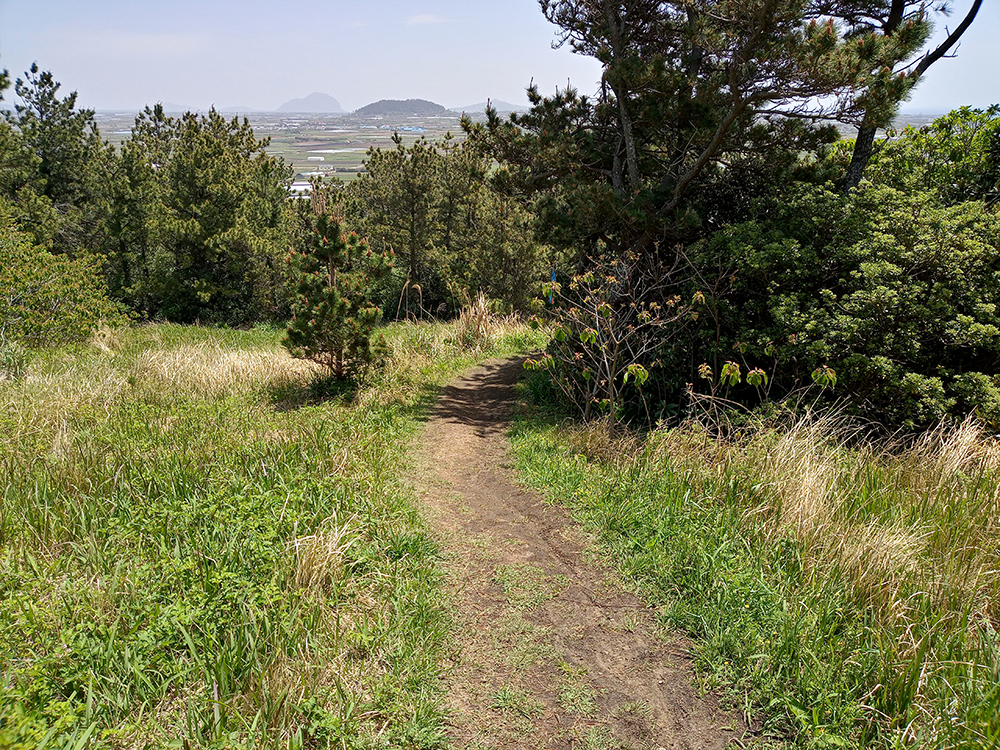 올레길 12코스: 무릉외갓집에서 용수리포구까지