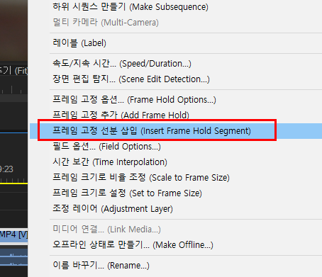 프레임 고정 선분 삽입