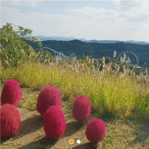 에버랜드 할로윈축제