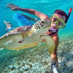 바다속에서-거북이와-함께-수영하는-장면