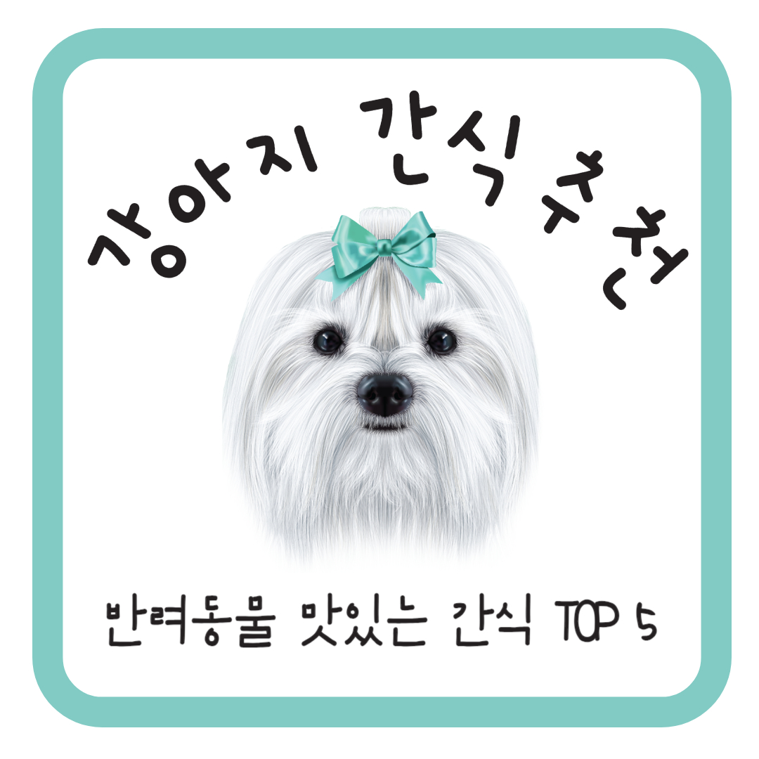강아지 간식 추천
