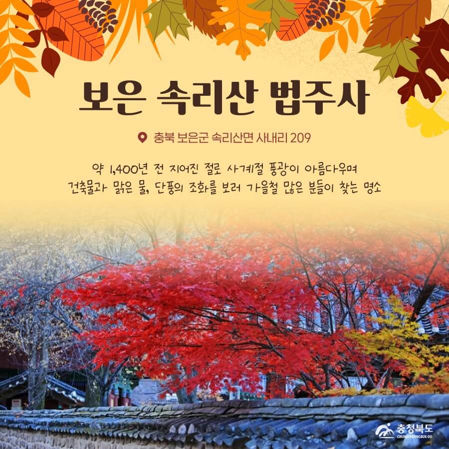 충북 보은 단풍명소 법주사