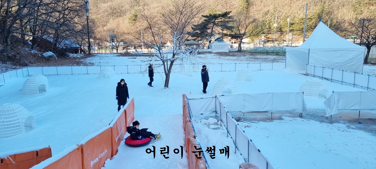동장군축제