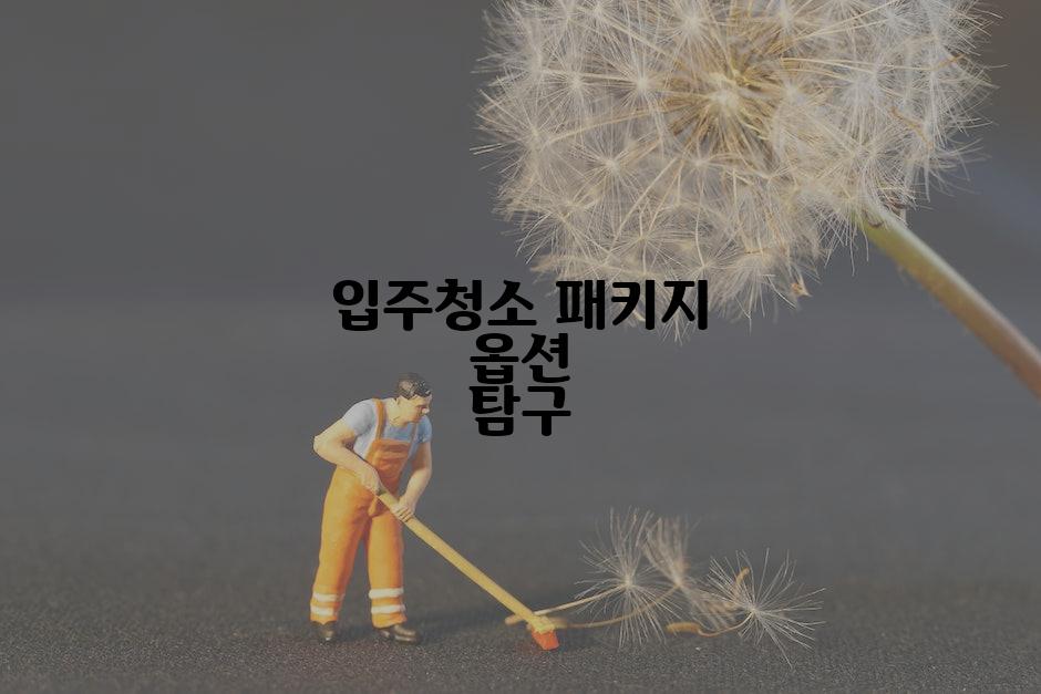 입주청소 패키지 옵션 탐구