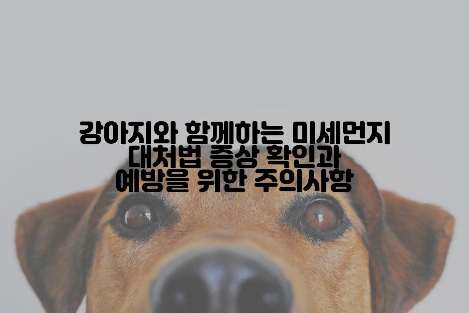 강아지와 함께하는 미세먼지 대처법 증상 확인과 예방을 위한 주의사항