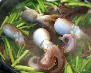 서천 동백꽃 주꾸미 축제_5