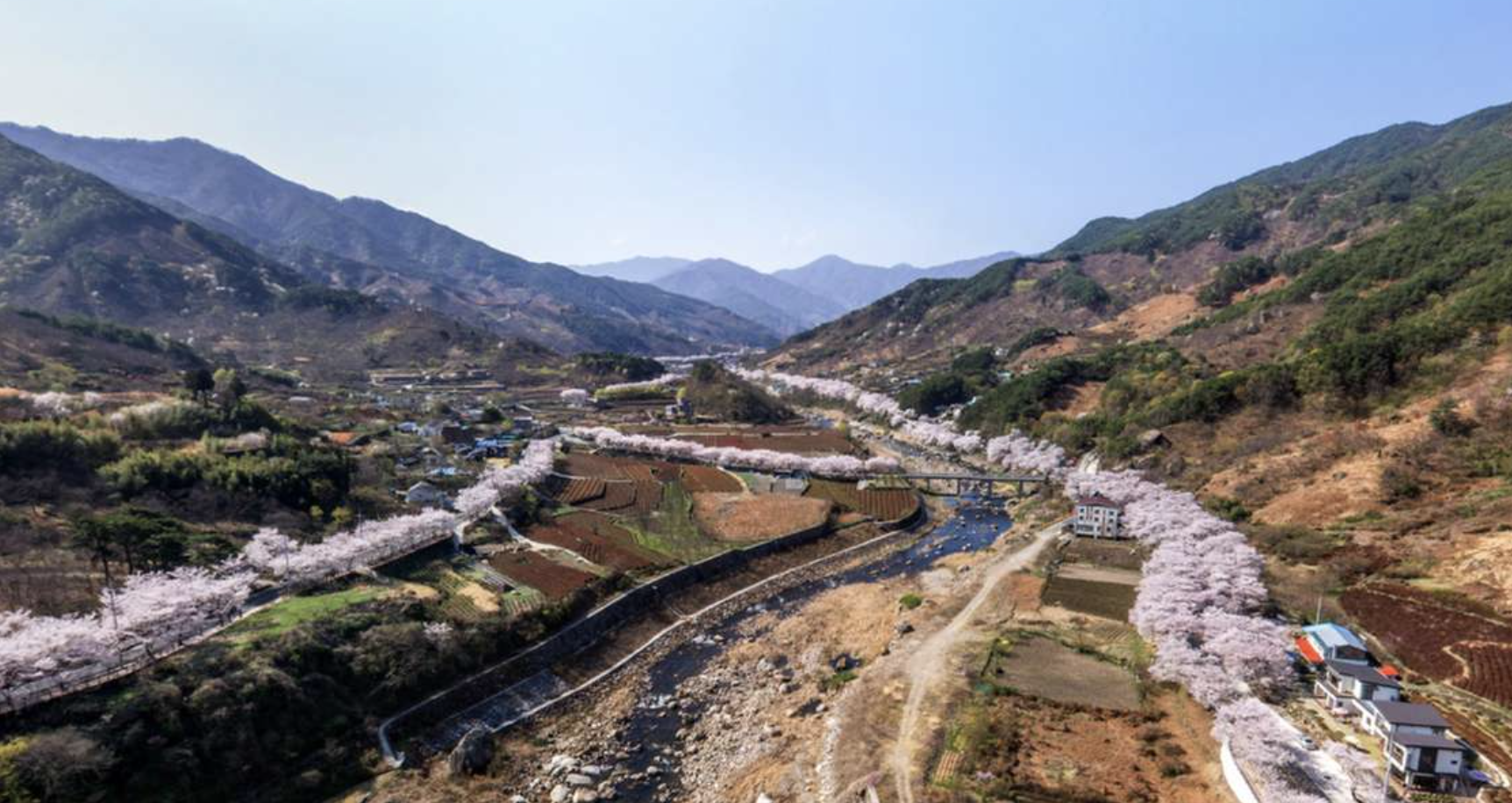 하동 화개장터 벚꽃길 혼례길 전경