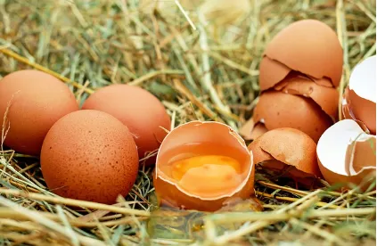 딸 낳은 방법-음식