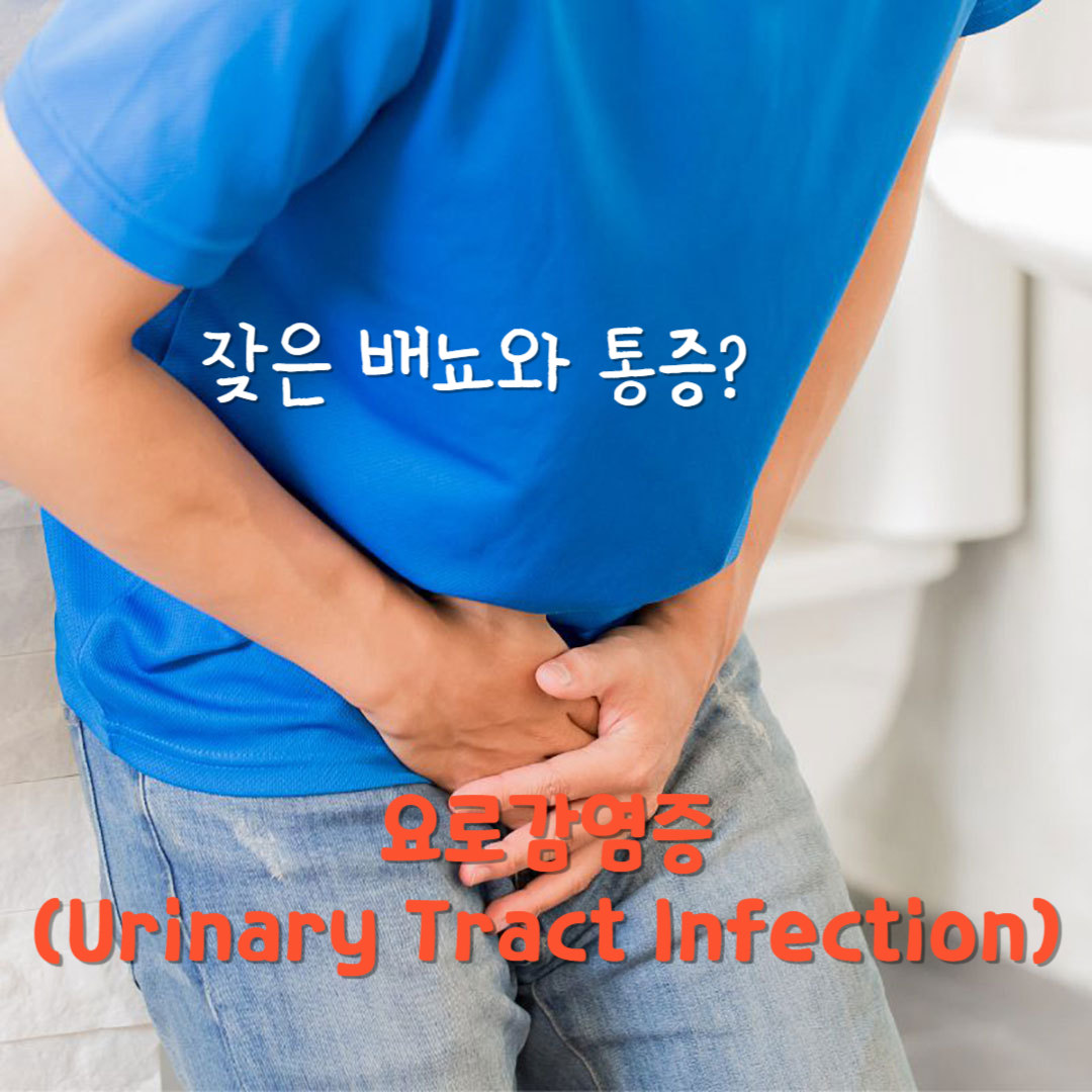 잦은 배뇨와 통증?
요로감염증의 증상