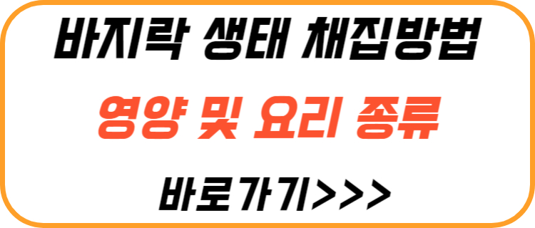 바지락-생태-영양-요리-종류