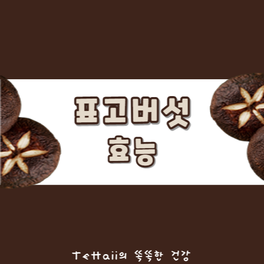 표고버섯 효능_섬네일