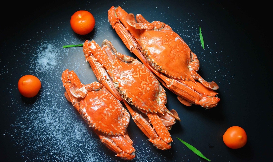 단백질: 근육과 면역력의 기반