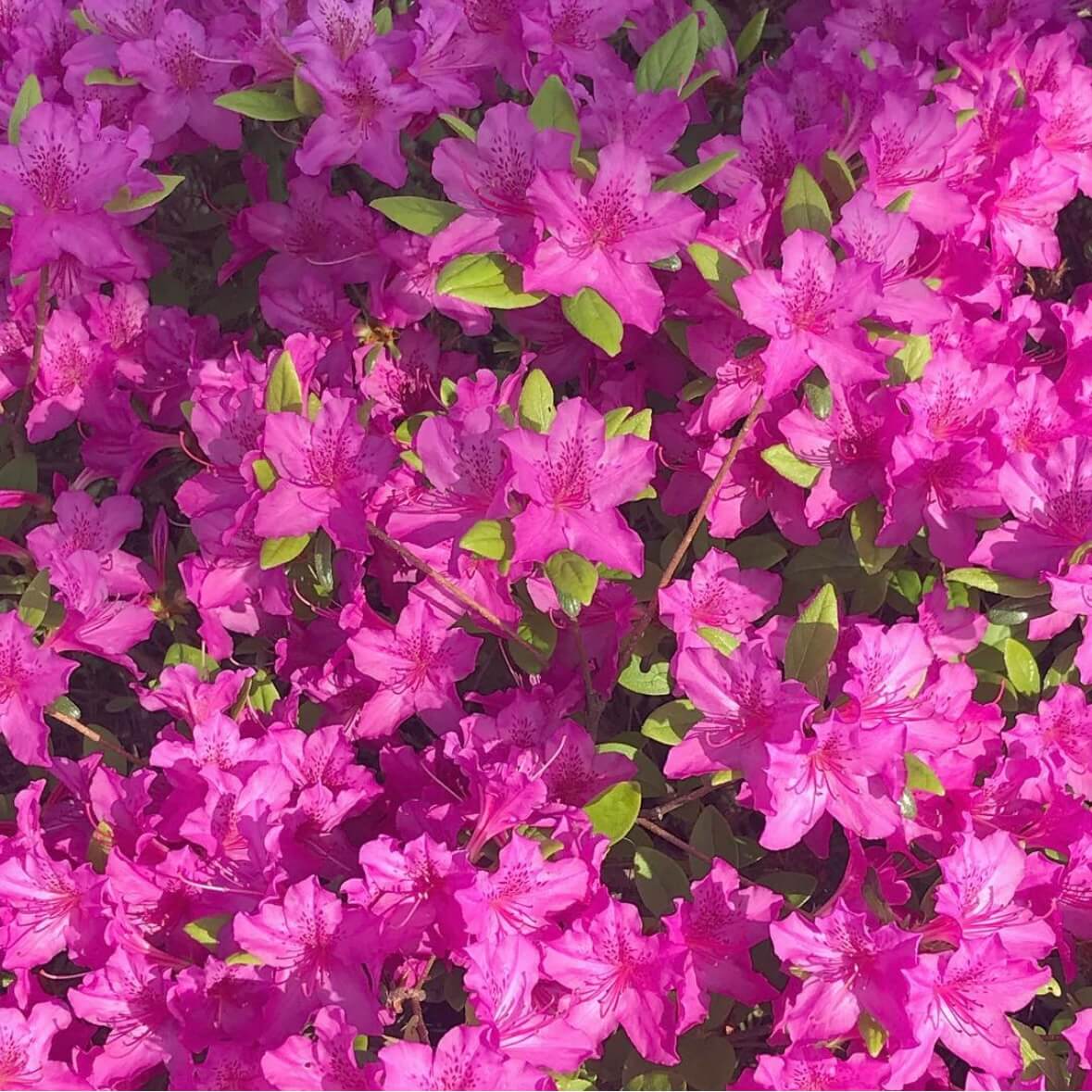 소백산 등산코스